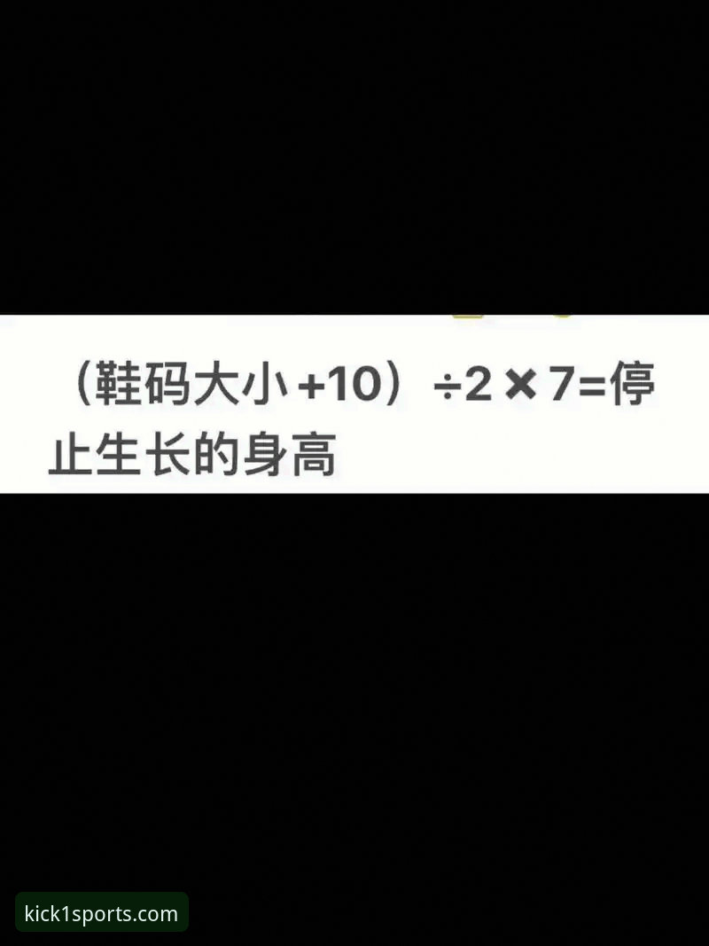 K1体育官方保障实用指南：老用户分享安全认证与注册下载必备知识